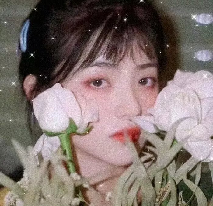 明宫谜案
